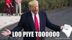 Trump - Impeachment Quid Pro Quo