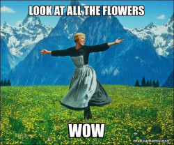 Sound of Music