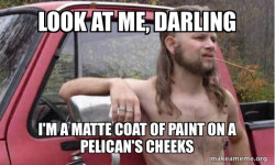 Almost Politically Correct Redneck