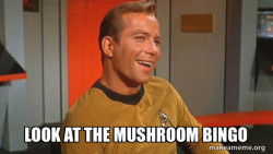 Ridiculously Photogenic Starship Captain