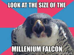 Millennial Falcon