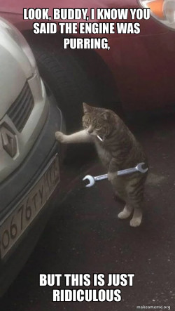 Mechanic Cat