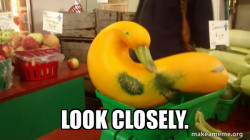 Gourd Advice Mallard