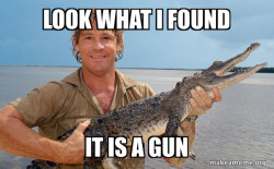 Steve irwin