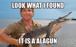 Steve irwin