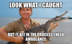 Steve irwin
