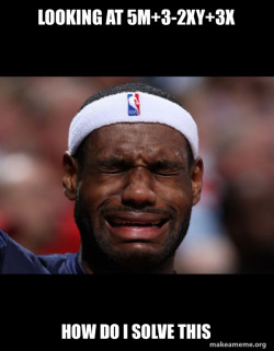 Lebron Crying