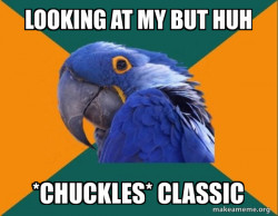 Paranoid Parrot