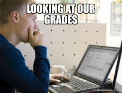 Programmer