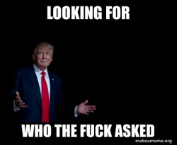 Trump Everything is FIne