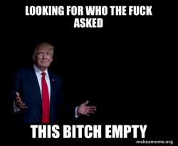 Trump Everything is FIne