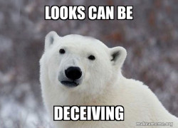 Popular Opinion Polar Bear