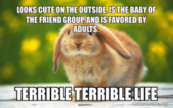 Regretful Rabbit