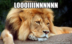 Confession Lion