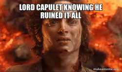 Frodo it's over it's done