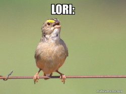 Common Opinion Sparrow