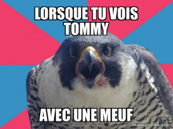 Millennial Falcon