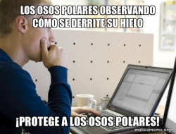 Programmer