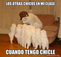 Scumbag Storytelling Dog