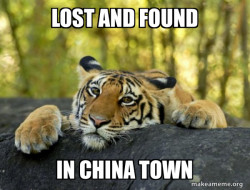 Confession Tiger
