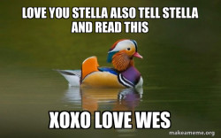 Fashionable Advice Mallard