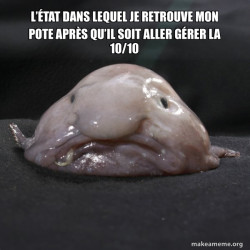 Blobfish