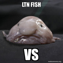 Blobfish
