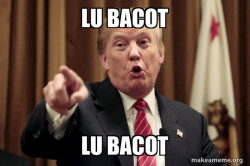 Donald Trump Says