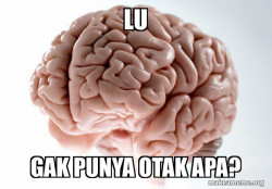 Scumbag Brain