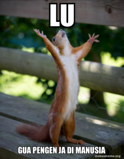 Happy Squirrel