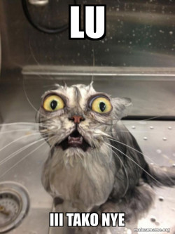 Cat bath