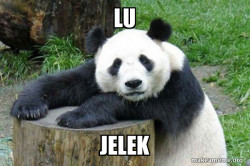 Confession Panda