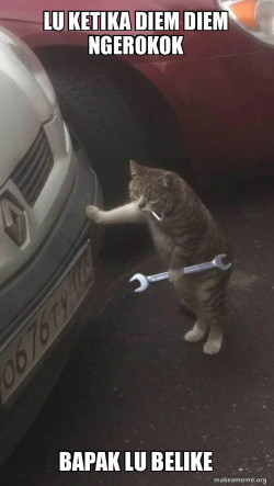 Mechanic Cat