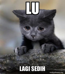 Confession Cat