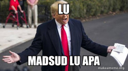 Trump - Impeachment Quid Pro Quo