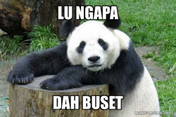 Confession Panda