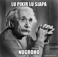 Serious Albert Einstein