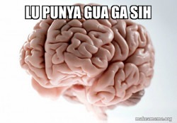 Scumbag Brain