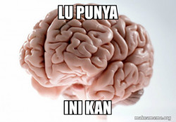 Scumbag Brain