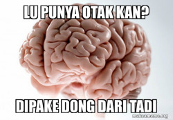 Scumbag Brain