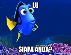 Dory from Nemo  (5 second memory)