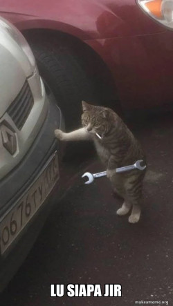 Mechanic Cat