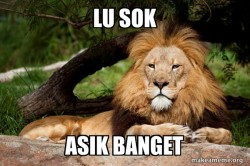 Contemplative Lion