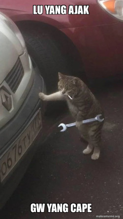 Mechanic Cat