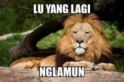 Contemplative Lion