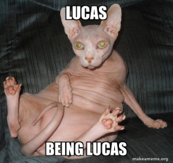 Hairless Cat