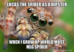 Hipster Spider
