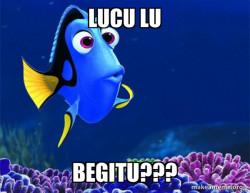 Dory from Nemo  (5 second memory)