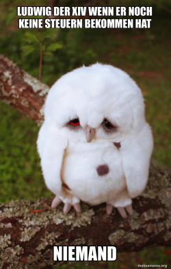 Sad Owl
