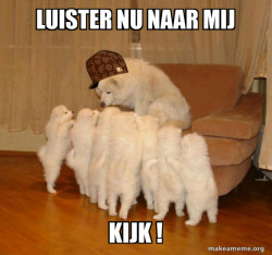 Scumbag Storytelling Dog